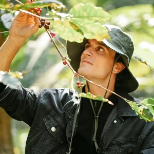 The Potential of Virtual Reality in Agrifood